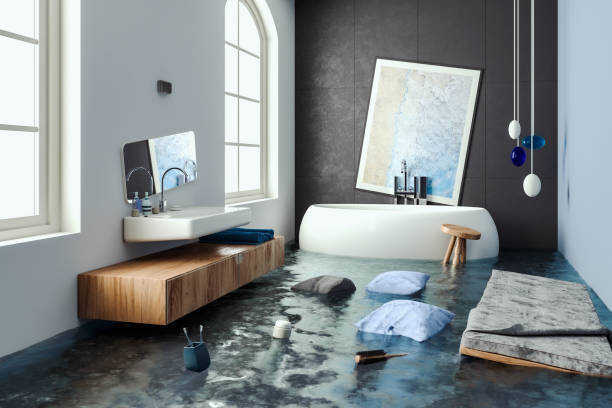 Best Water damage cleanup near me  in Friedens, PA