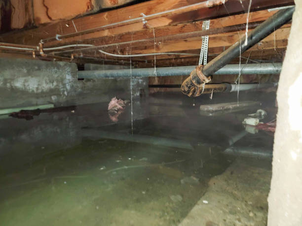 Best Commercial water damage restoration  in Friedens, PA