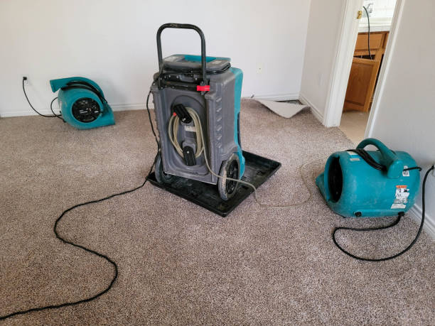 Best Flooded house restoration  in Friedens, PA