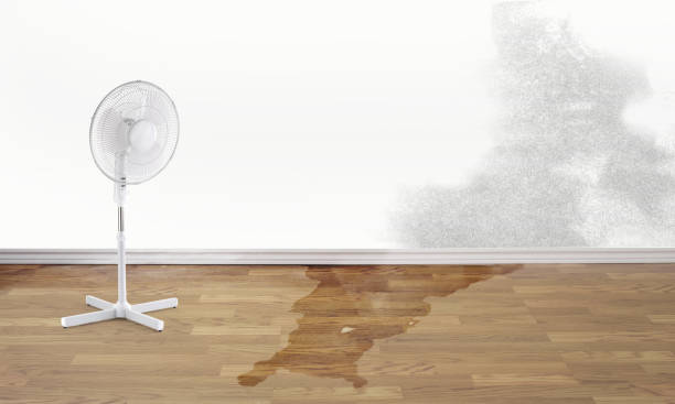 Best Professional water damage repair  in Friedens, PA