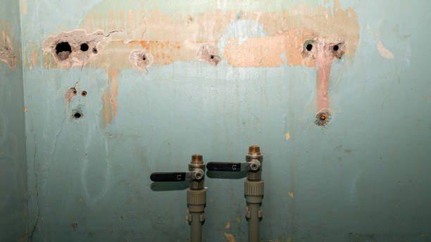 Best Sewage cleanup and water damage restoration  in Friedens, PA