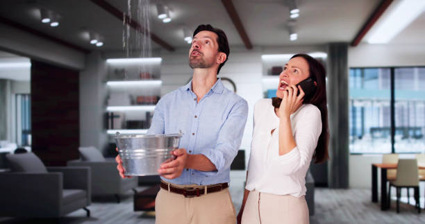 Best Water damage restoration specialists  in Friedens, PA